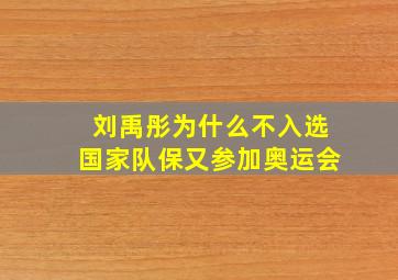 刘禹彤为什么不入选国家队保又参加奥运会