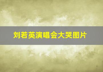 刘若英演唱会大哭图片