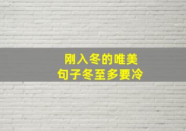 刚入冬的唯美句子冬至多要冷