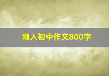 刚入初中作文800字