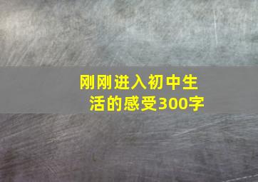 刚刚进入初中生活的感受300字