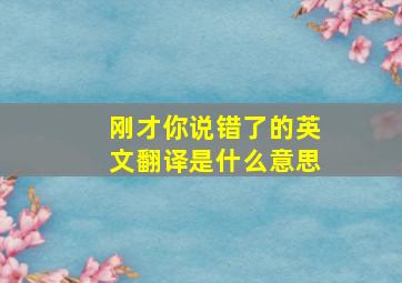 刚才你说错了的英文翻译是什么意思