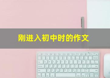 刚进入初中时的作文