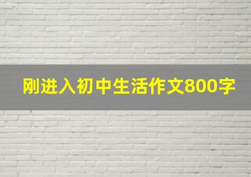 刚进入初中生活作文800字