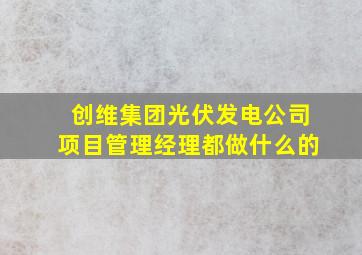 创维集团光伏发电公司项目管理经理都做什么的