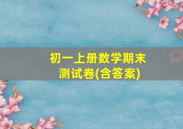 初一上册数学期末测试卷(含答案)