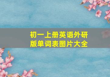 初一上册英语外研版单词表图片大全