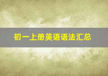 初一上册英语语法汇总