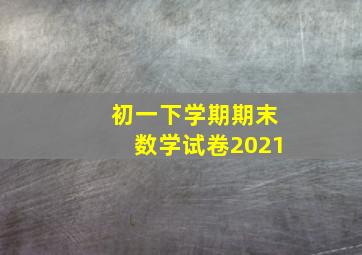 初一下学期期末数学试卷2021