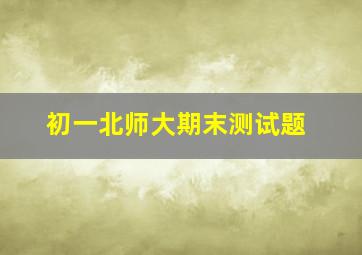 初一北师大期末测试题