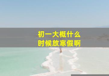 初一大概什么时候放寒假啊