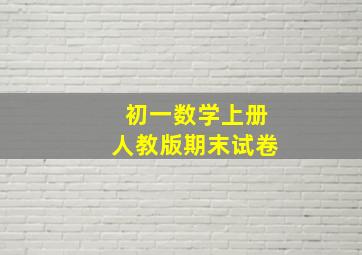 初一数学上册人教版期末试卷