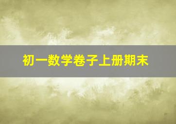 初一数学卷子上册期末