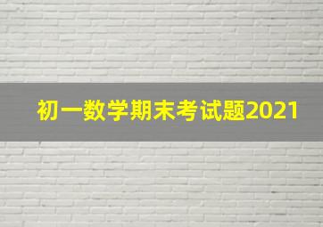 初一数学期末考试题2021