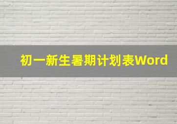 初一新生暑期计划表Word