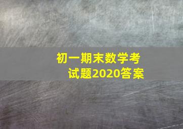 初一期末数学考试题2020答案