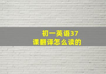 初一英语37课翻译怎么读的