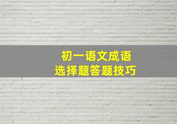 初一语文成语选择题答题技巧