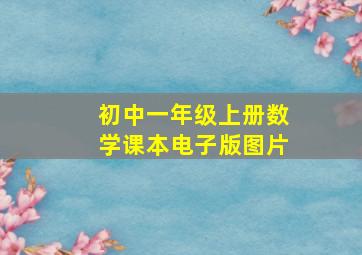 初中一年级上册数学课本电子版图片