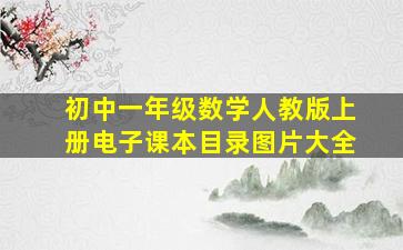 初中一年级数学人教版上册电子课本目录图片大全