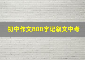 初中作文800字记叙文中考