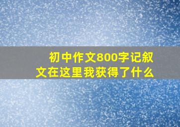 初中作文800字记叙文在这里我获得了什么