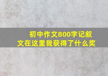 初中作文800字记叙文在这里我获得了什么奖