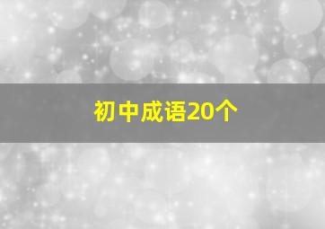 初中成语20个