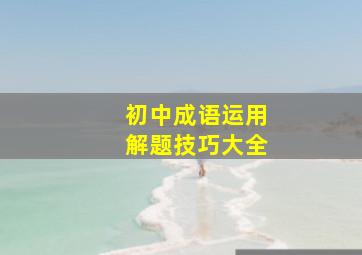 初中成语运用解题技巧大全