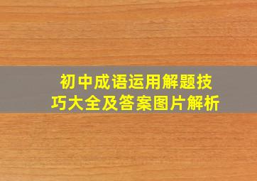 初中成语运用解题技巧大全及答案图片解析