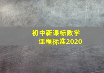 初中新课标数学课程标准2020