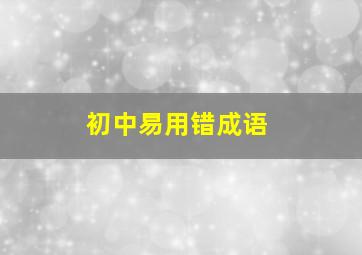 初中易用错成语