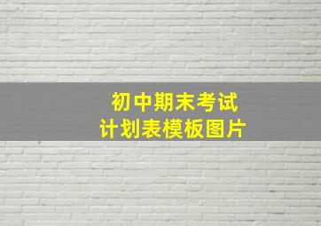 初中期末考试计划表模板图片