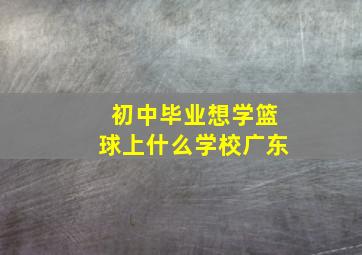 初中毕业想学篮球上什么学校广东