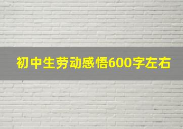 初中生劳动感悟600字左右