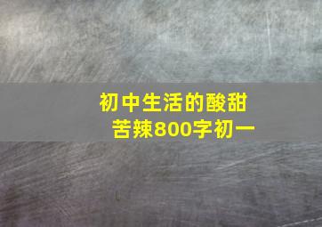 初中生活的酸甜苦辣800字初一