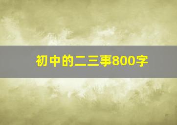 初中的二三事800字