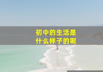 初中的生活是什么样子的呢