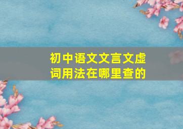 初中语文文言文虚词用法在哪里查的