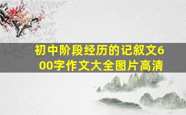 初中阶段经历的记叙文600字作文大全图片高清