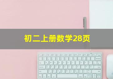 初二上册数学28页