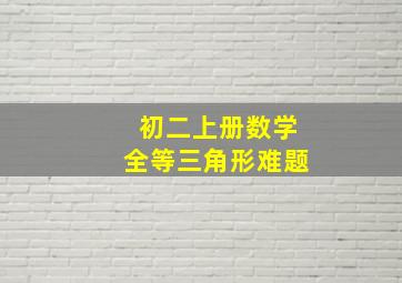 初二上册数学全等三角形难题