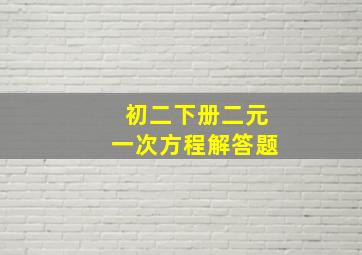 初二下册二元一次方程解答题