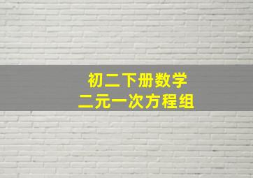 初二下册数学二元一次方程组