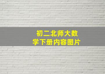 初二北师大数学下册内容图片