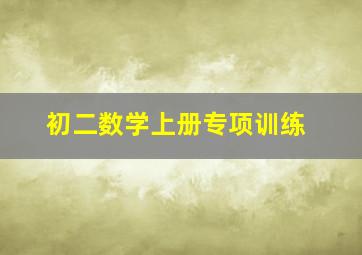 初二数学上册专项训练