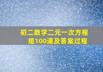 初二数学二元一次方程组100道及答案过程