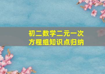 初二数学二元一次方程组知识点归纳