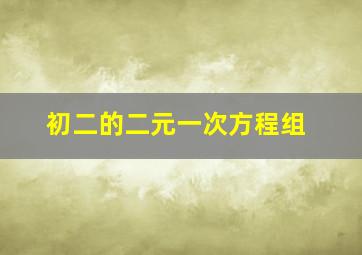 初二的二元一次方程组