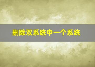 删除双系统中一个系统